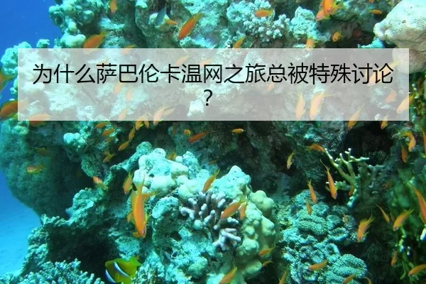 wei-shen-me-sa-ba-lun-ka-wen-wang-zhi-lv-zong-bei-te-shu-tao-lun-2-140.jpg